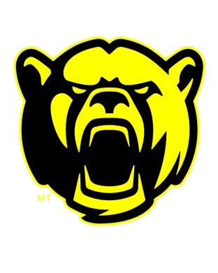 Baylor Bears Baseball Cincinnati
