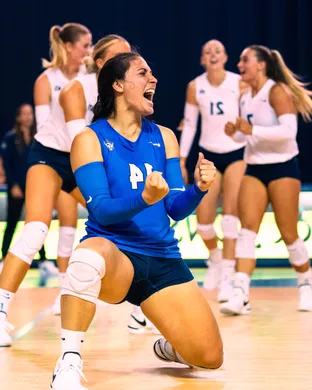Byu Cougars Volleyball Provo