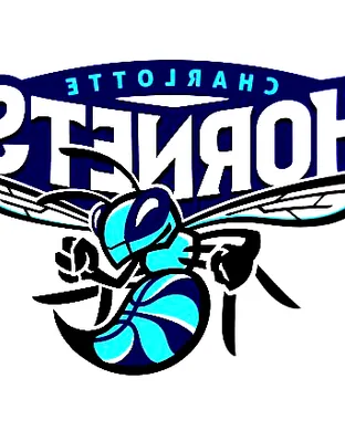 Charlotte Hornets Charlotte