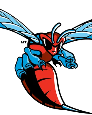Delaware State Hornets Washington