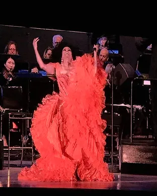 Diana Ross Vienna