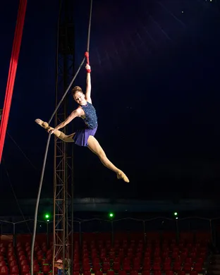 Do Portugal Circus Hyattsville