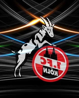 Fc Koln Vienna