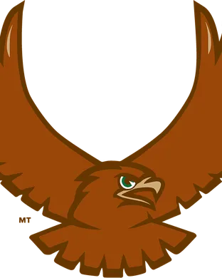 Lehigh Mountain Hawks Washington