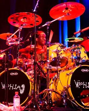Living Colour Washington