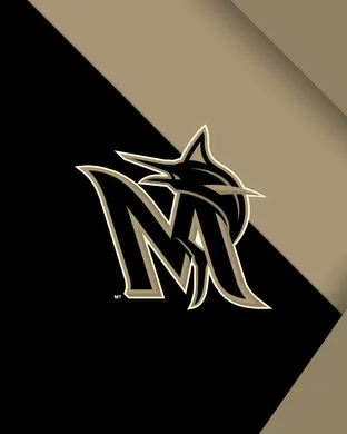 Miami Marlins Miami