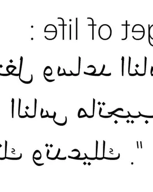 Nasser Al-rayess Washington