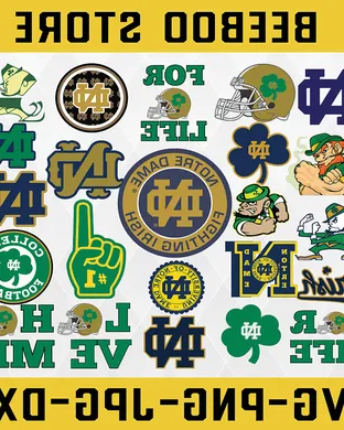 Notre Dame Fighting Irish Foxborough