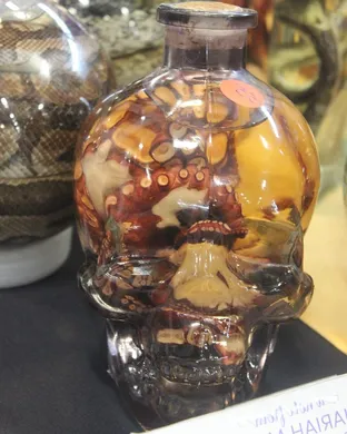 Oddities and Curiosities Expo Baltimore