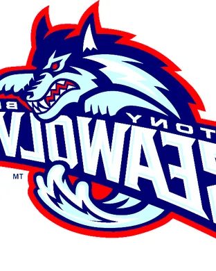 Stony Brook Seawolves Football Towson