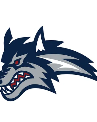 Stony Brook Seawolves Towson