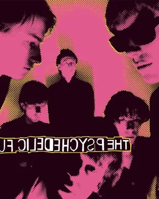 The Psychedelic Furs Washington