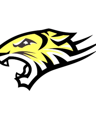Towson Tigers Football Towson