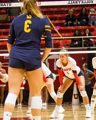 Utah Utes Volleyball Salt Lake City