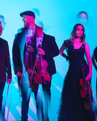 Vitamin String Quartet Washington