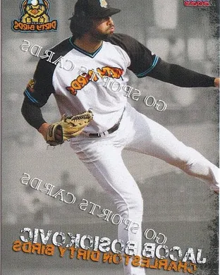Charleston Dirty Birds Hagerstown