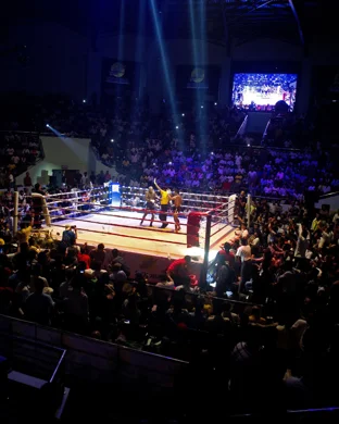 Championship Pro Boxing Hanover