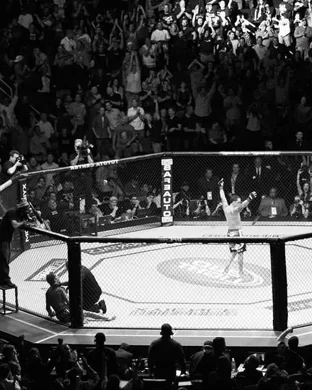 UFC Freedom 250 Fan Fest Washington
