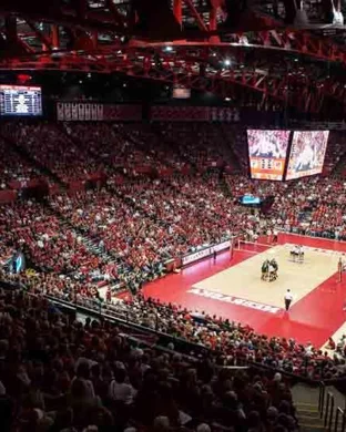 Minnesota Golden Gophers Women's Volleyball Minneapolis