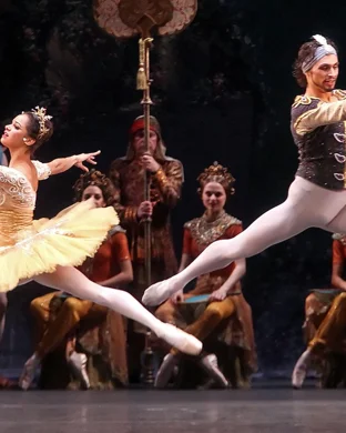 The Washington Ballet Washington